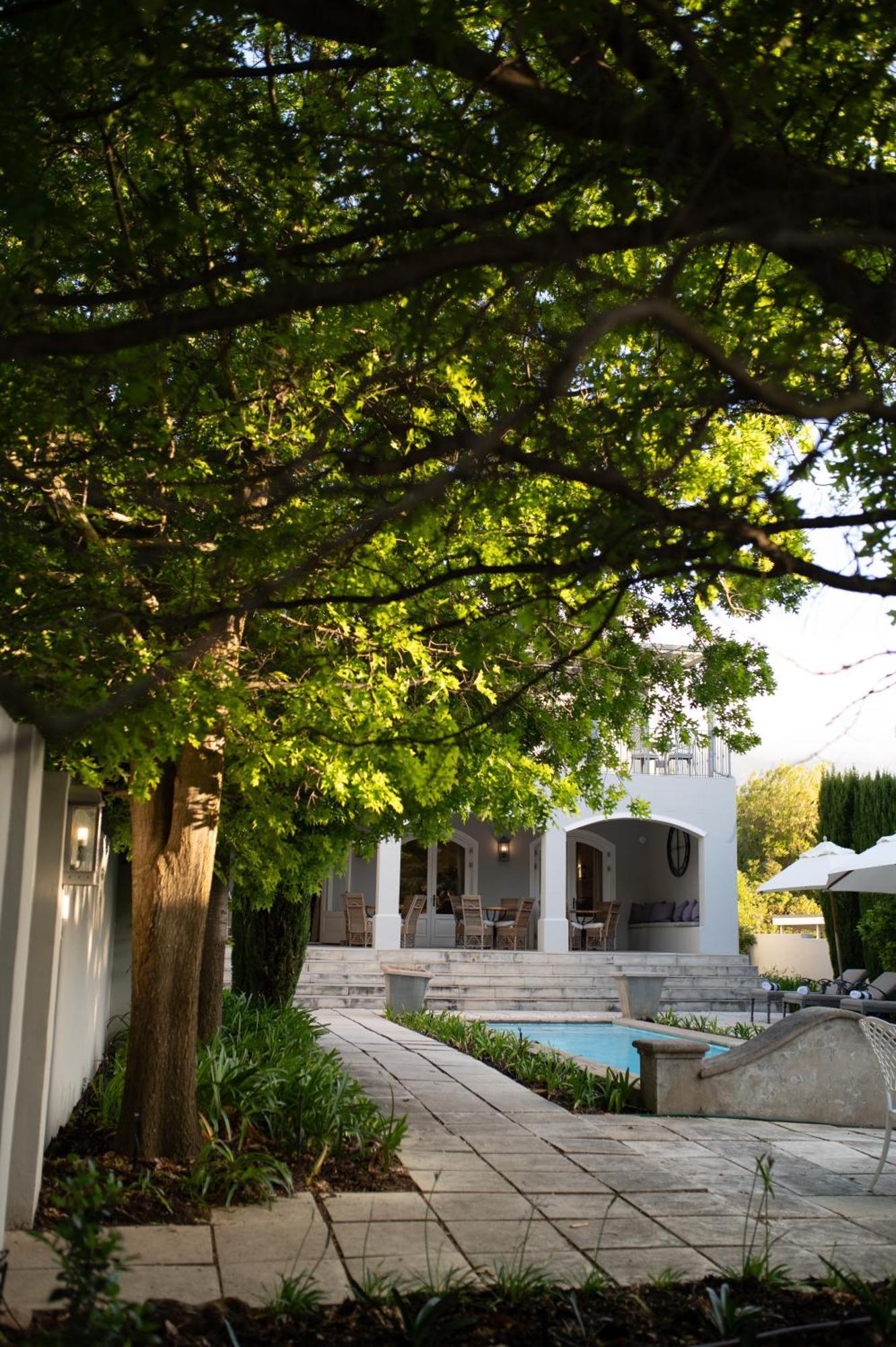 Maison D'Ail Guest House Franschhoek Kültér fotó